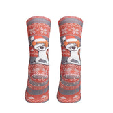 Wigglesteps Christmas Fun Dog 1 Paire De Chaussette Enfant